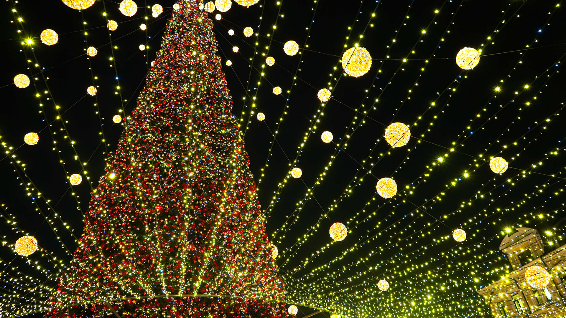 Public Christmas Tour