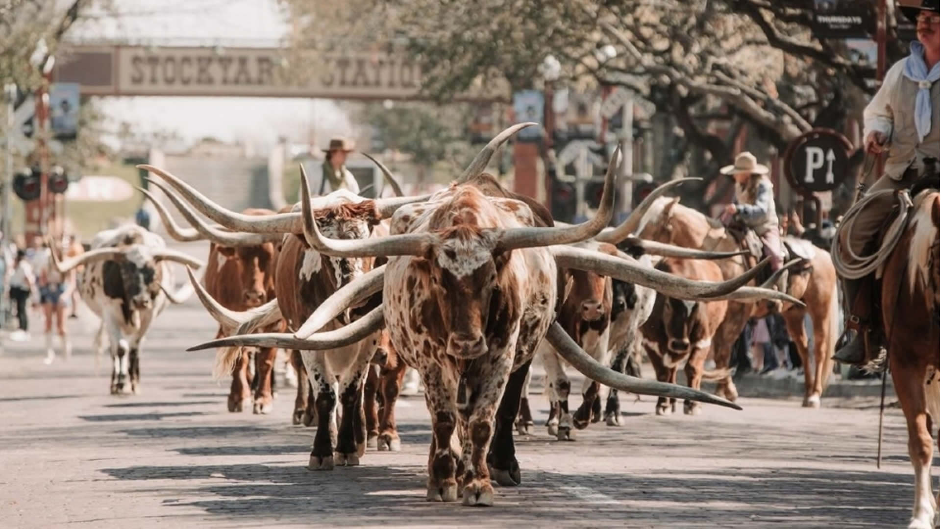 Fort Worth Tour