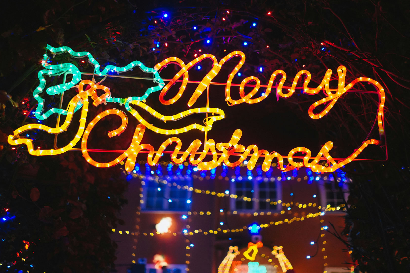 Public Christmas Lights Experience 