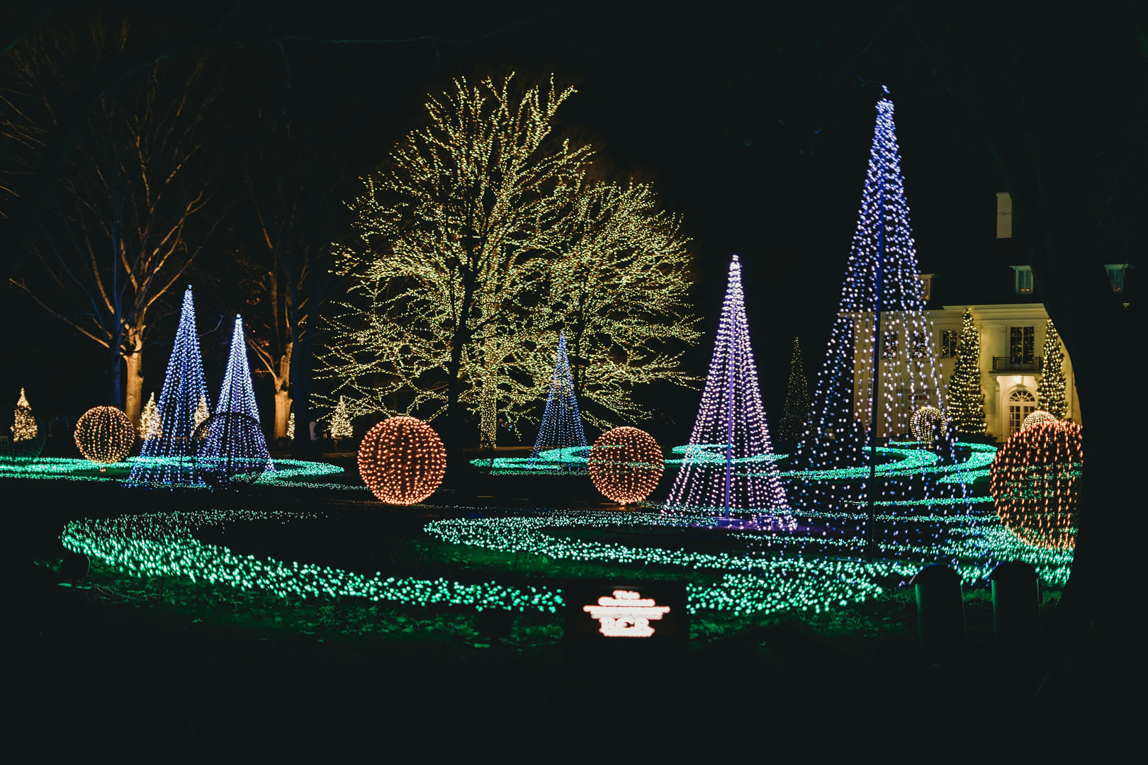 Public Christmas Lights Experience 