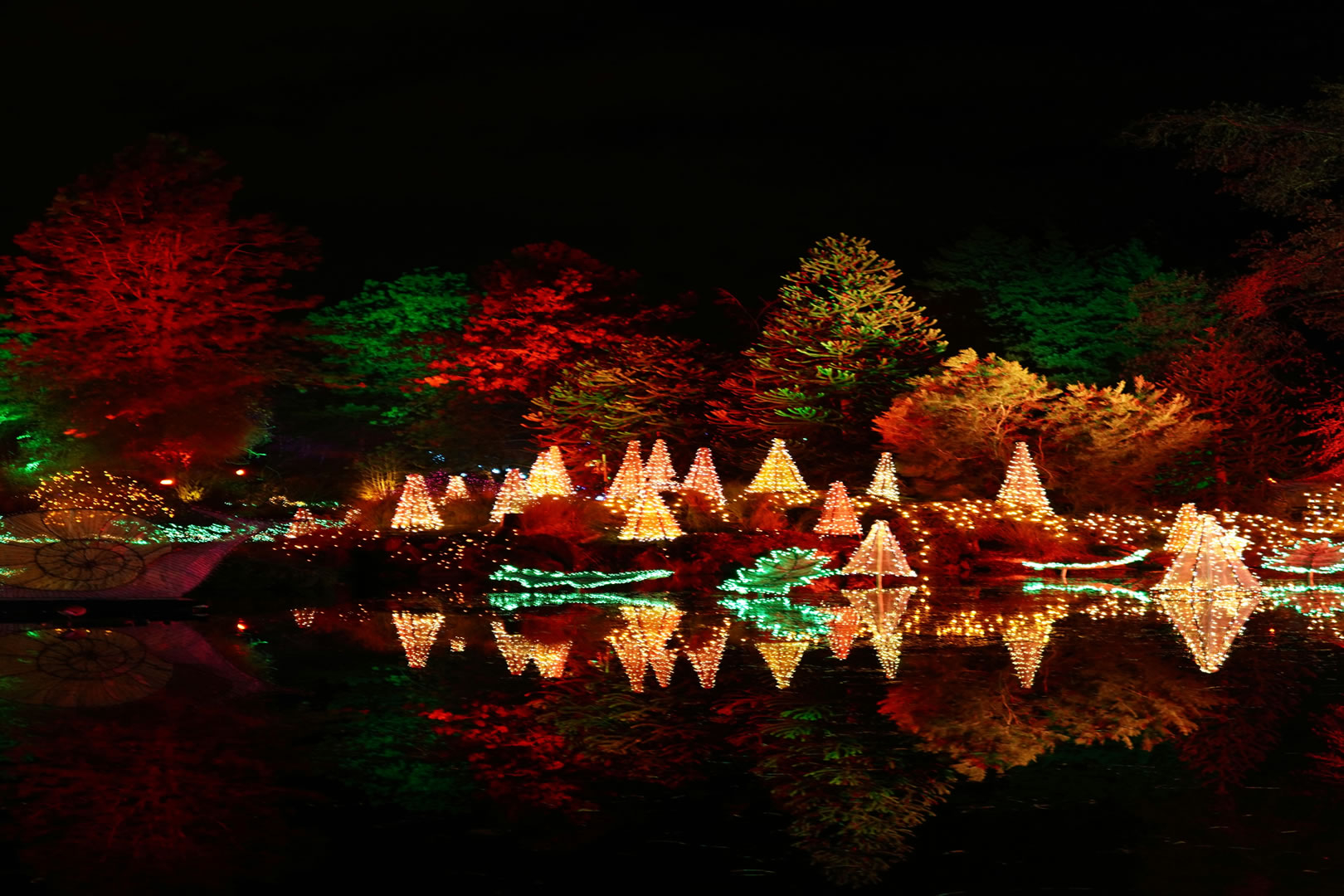 Public Christmas Lights Experience 
