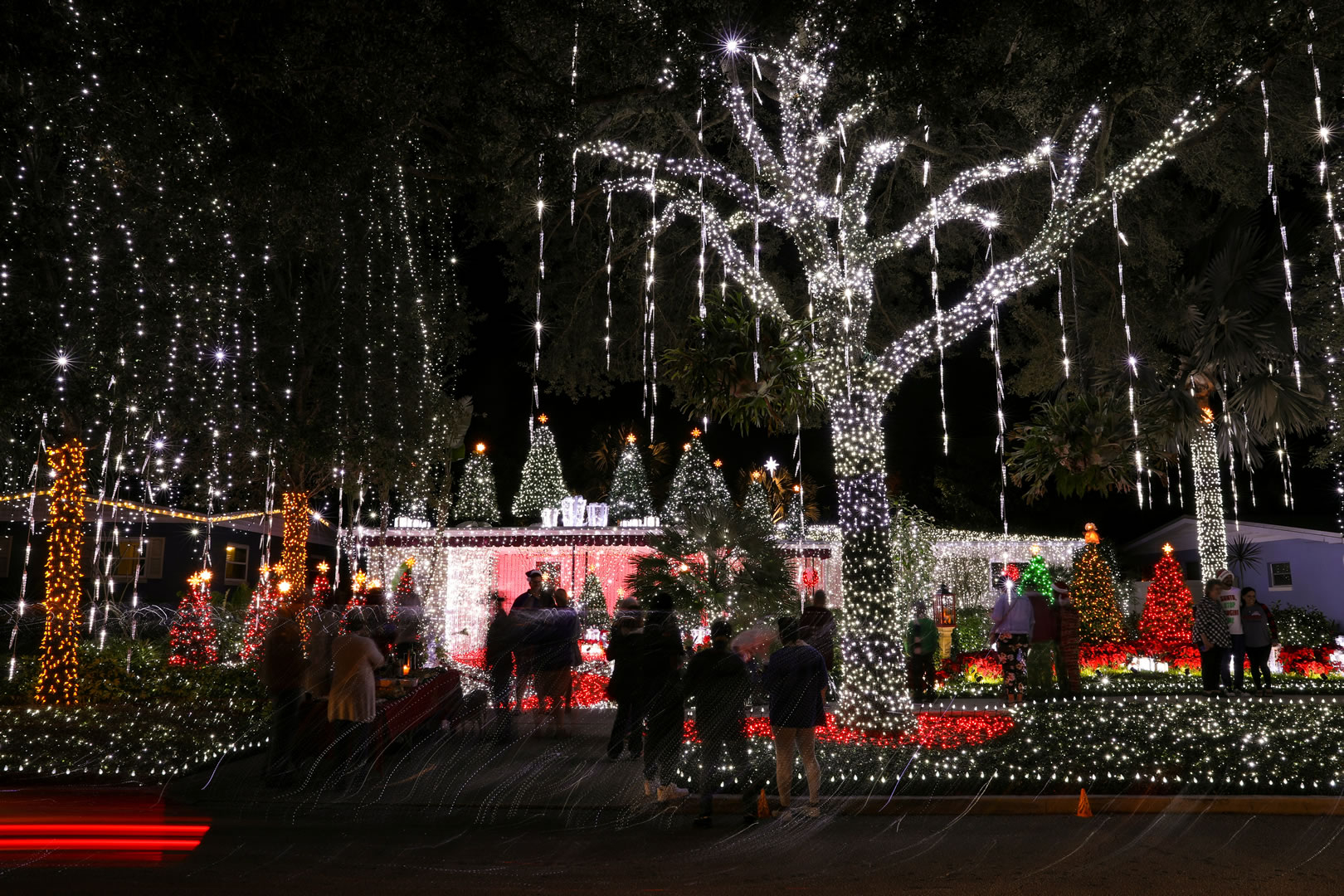 Public Christmas Lights Experience 
