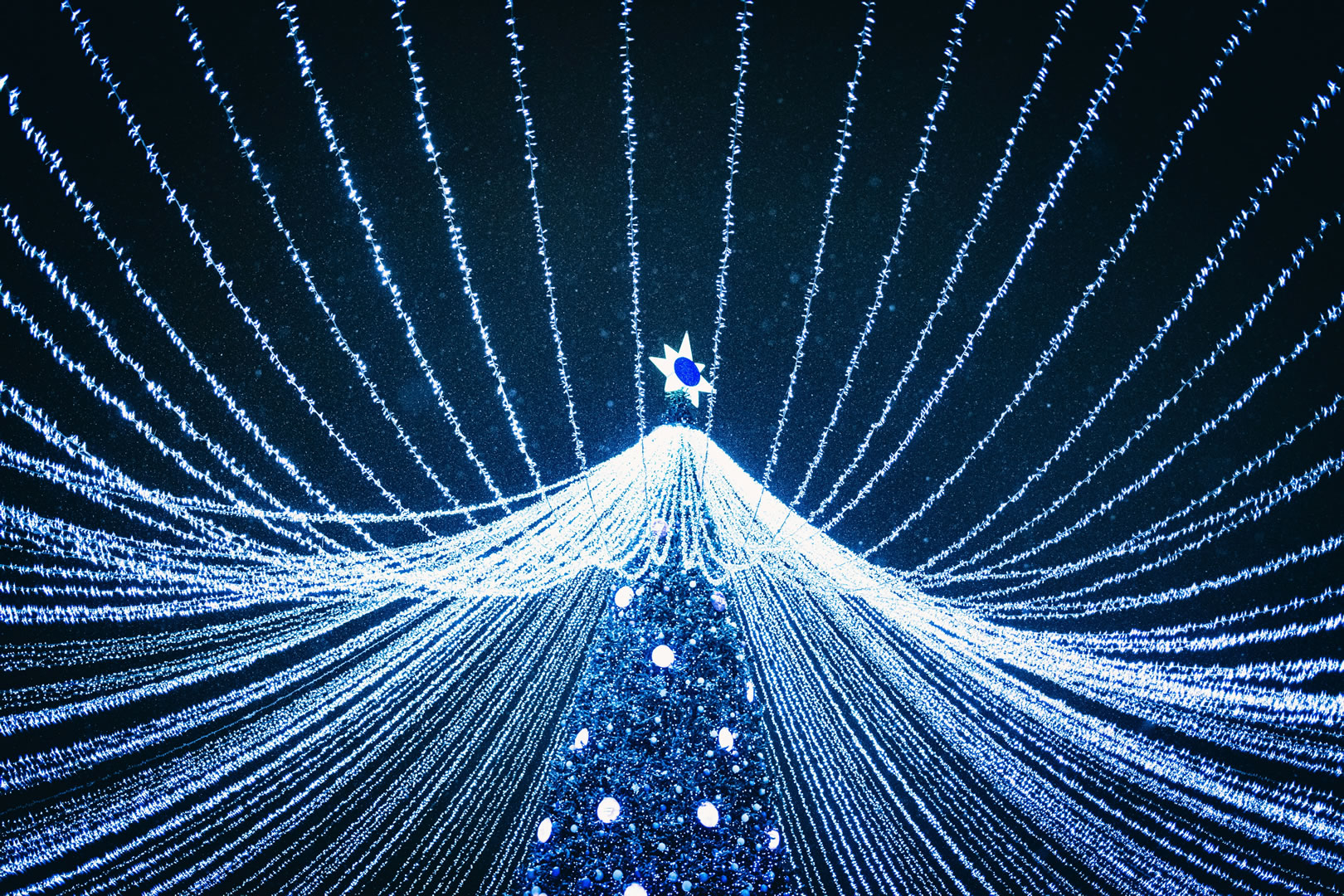 Public Christmas Lights Experience 