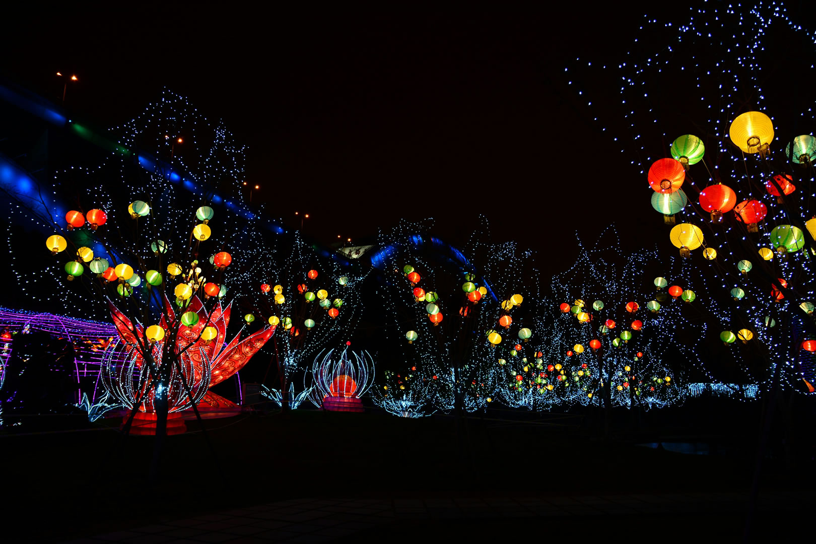 Public Christmas Lights Experience 