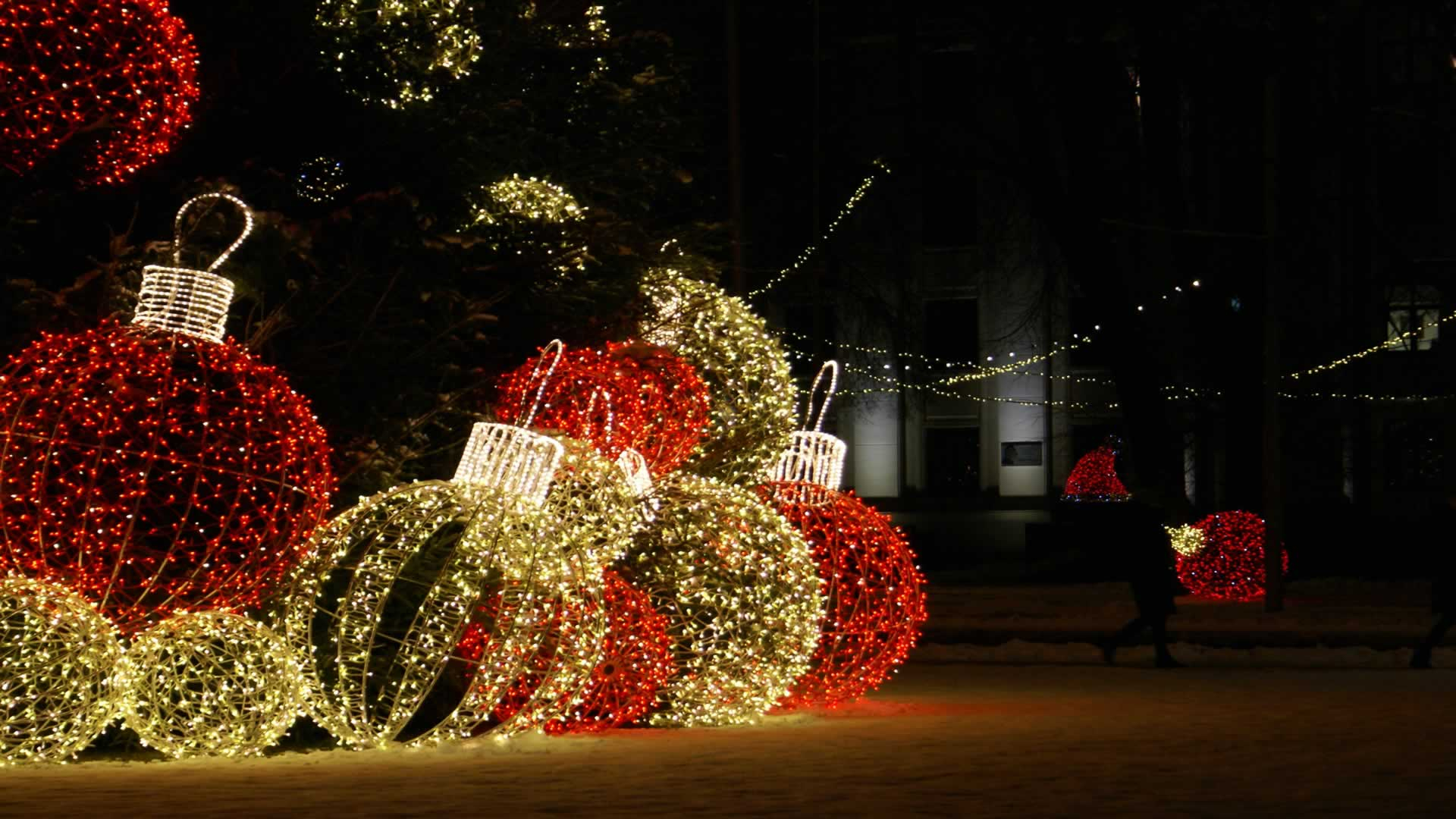 Private Christmas Lights Experience