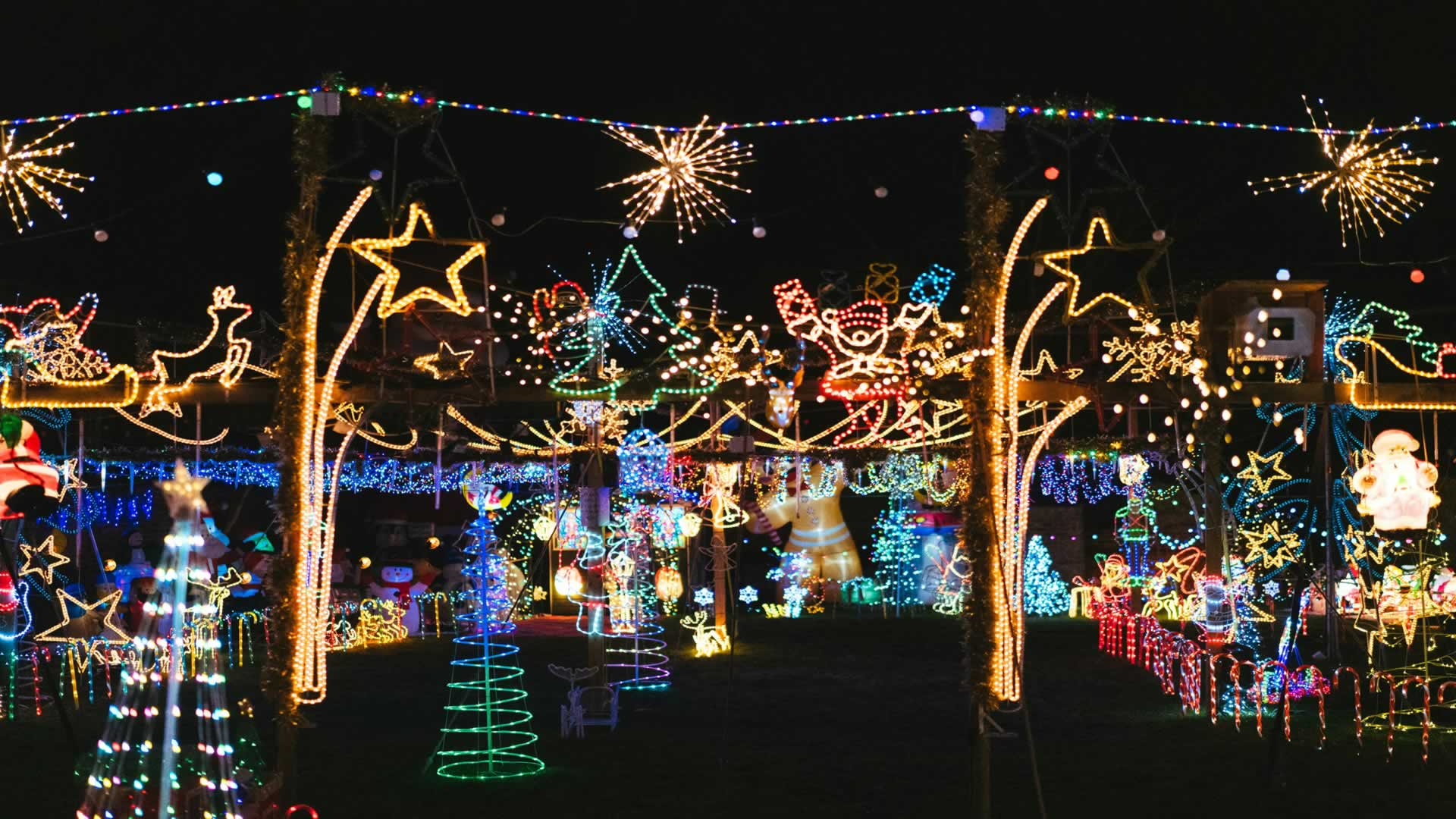 Christmas Lights Sightseeing Tour