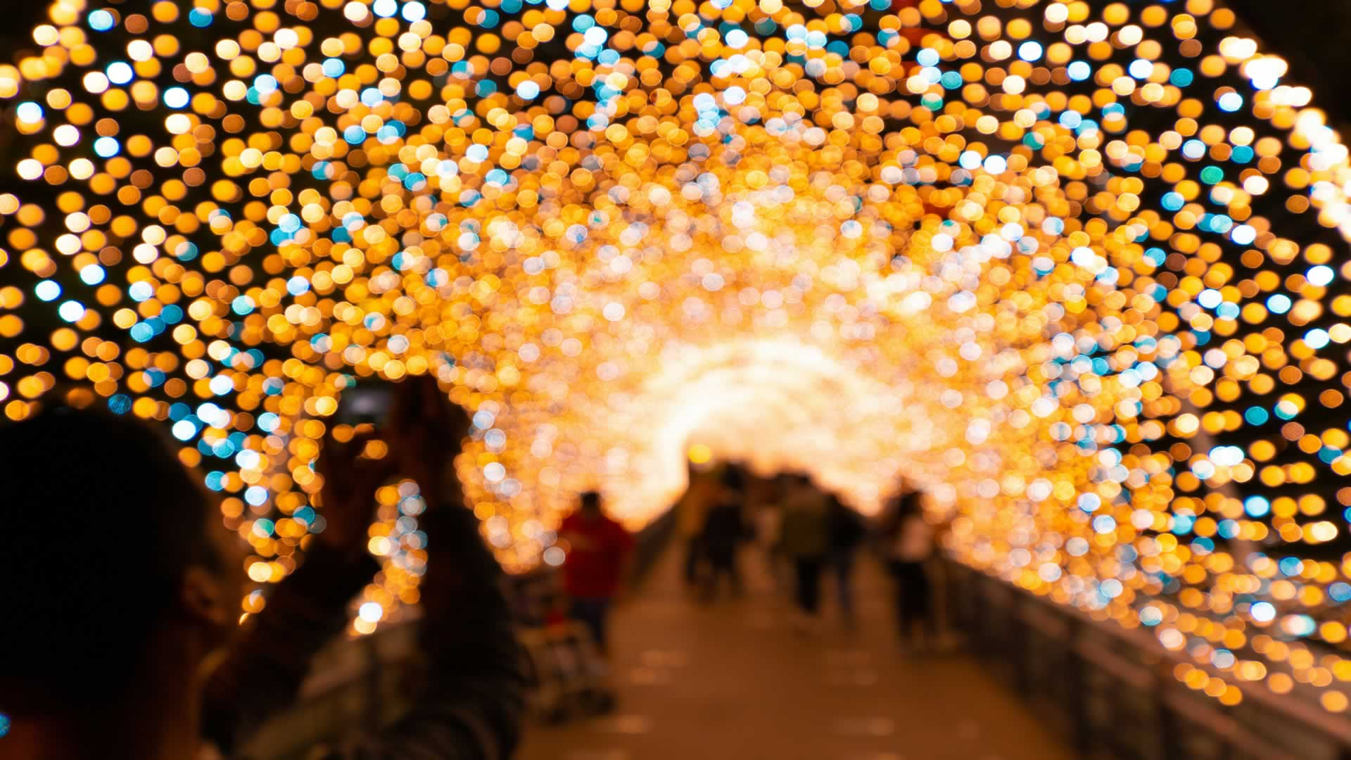 Private Christmas Lights Experience