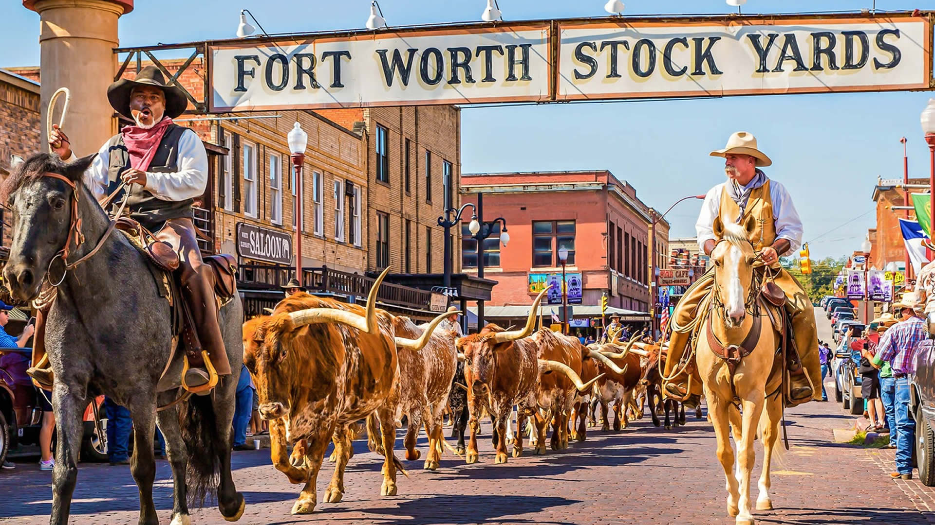 Let our certified local guides show you the best of Dallas & Fort Worth.